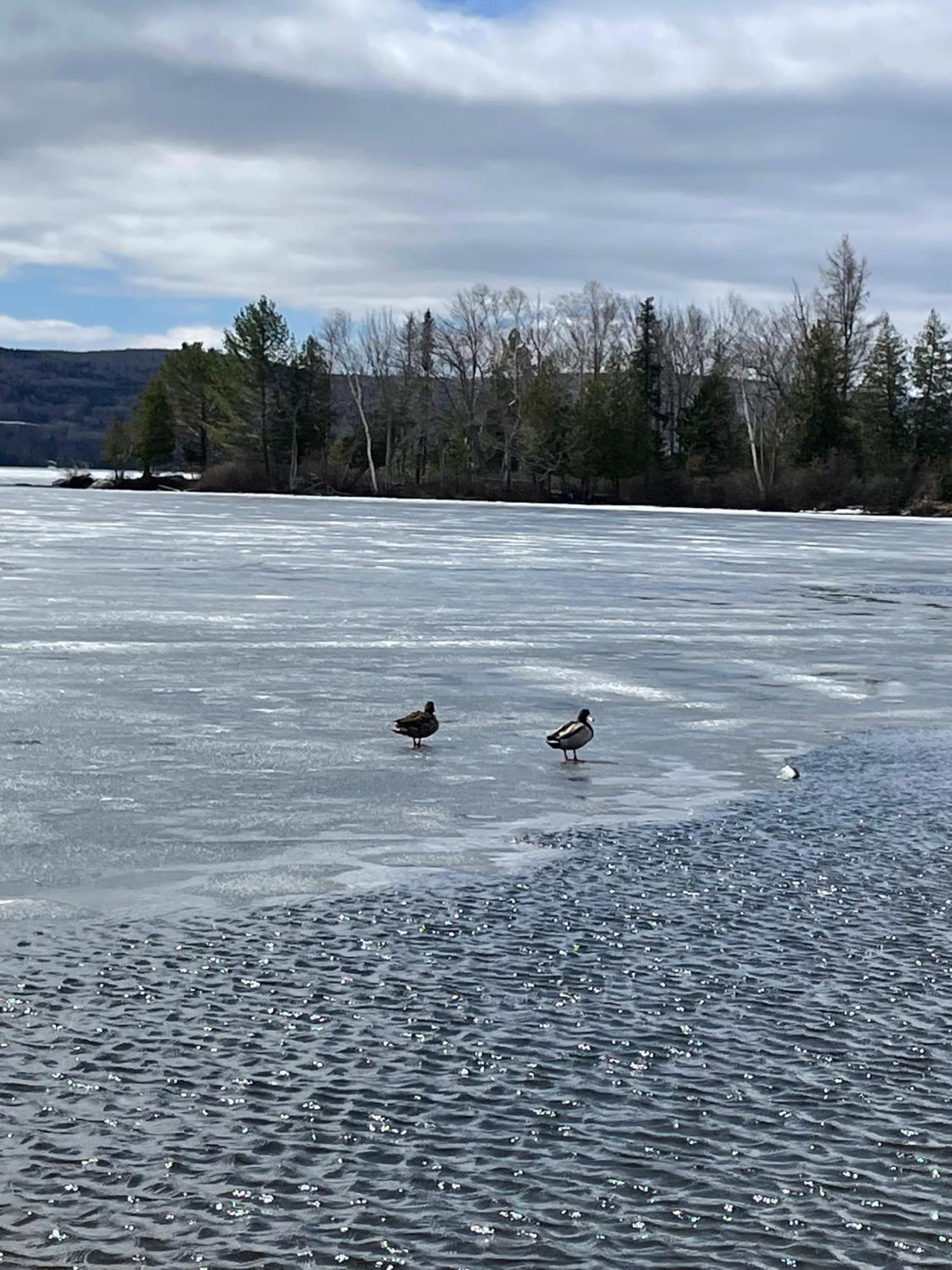 Rangeley Town & Lake Екстер'єр фото